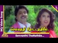 Dhinamum Ennai Gavani Tamil Movie Songs | Sevvandhi Thottathile Video Song | Ramki | Sangavi | Sirpy