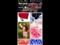 Rose petals 3D Live Wallpaper