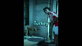 Speed Saved Street Dog In Turkey..