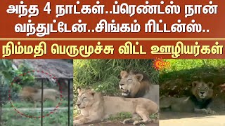 Singam Returns Friends, Ive Arrived Employees Relief Vandalur Zoo Those 4 Days