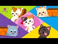 How to make a Kitty with Clay | Clay Animals | DIY | Animal Songs | Pinkfong Clay Time