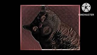 Preview 2 Nima Cat Effects 2022 V2
