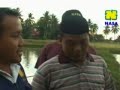 image Resep Mudah Budidaya Ikan Patin Sumatera Selatan