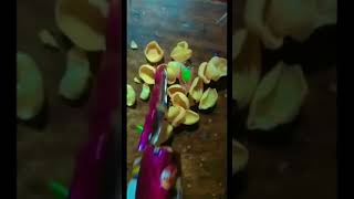 Chatori Moodis Unboxing Video Video