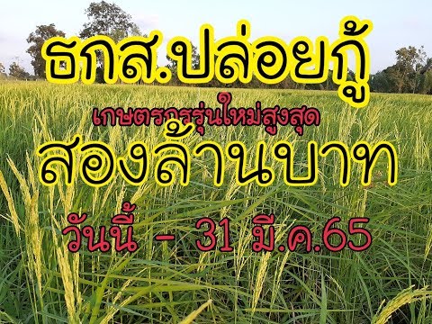 ธกส.ปล่อยกู้ เกษตรกรรุ่นใหม่กู้ได้สูงสุดสองล้านบาท