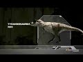 Titanoboa Monster Snake Titanoboa Vs T Rex