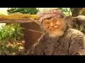 Jaka Tingkir 2 Episode Rembulan Kalang Full Movie Hd