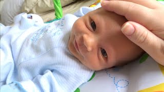 A Day In The Life With A Newborn A Day In The Life With A Newborn