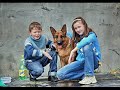 Все щенки нашли своих хозяев. 