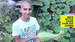 OUR GARDEN HARVEST THIS SEASON - Abhigya