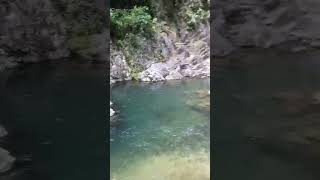 Dimasalang Falls Maria Aurora.