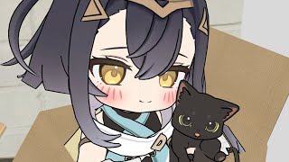 Construit Comme Un Chat Stella Sora Animation