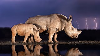 Kruger Rain & Thunder Sounds Lake Panic Knp, South Africa - African Night Nature Sounds 141