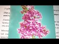 Make your own laundry soap- silent video