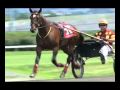 Muscle Hill roundtable -- USTA harness racing Hoof beats standardbred