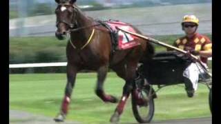 Muscle Hill roundtable -- USTA harness racing Hoof beats standardbred