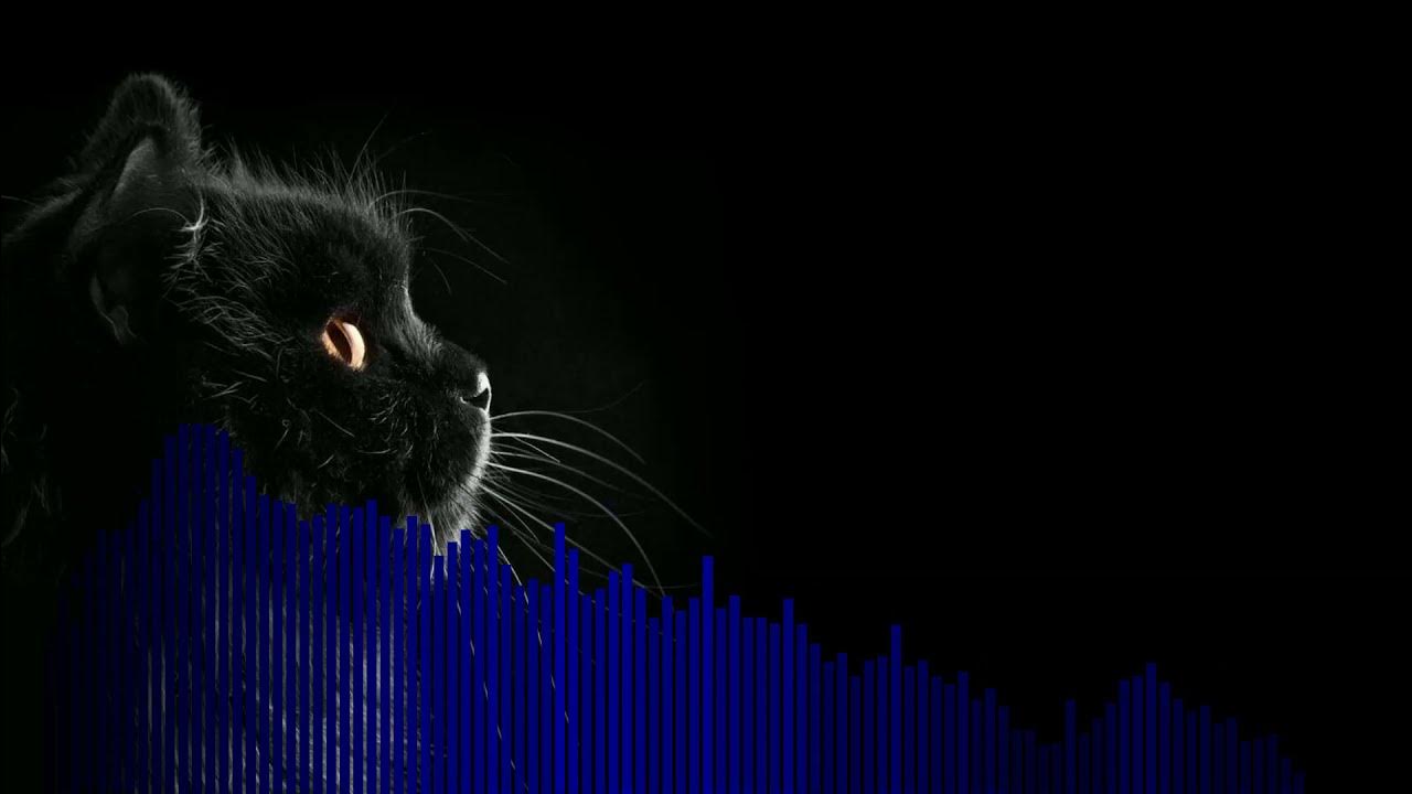 Темные обои с котом
