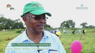 Pan-African Soybean Variety Trial Network