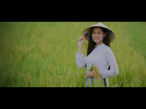 CLIP BONJOUR VIETNAM FACEBOOK