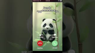 Wow Panda Call Me