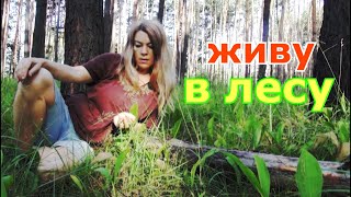 Лес Это Моя Жизнь А Вы Можете Жить Как Вы Хотите