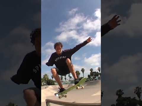 🗣️ 🗣️ LEFTY