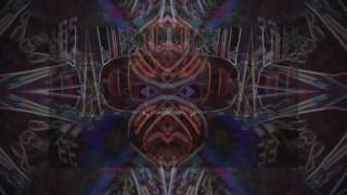 Watch Steve Kilbey Aquanaut video