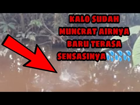 mancing mania||kalau tidak dicoba mana tau rasanya‼️