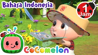 Berkeliling Di Taman Kota | CoComelon Bahasa Indonesia - Lagu Anak Anak | Nursery Rhymes