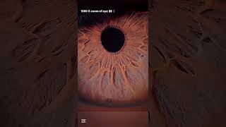 What 1000X Zoom Of The Eye Looks Like