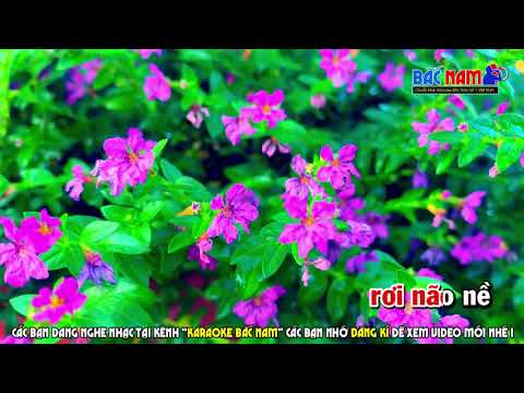 Karaoke Hai Mùa Mưa Nhạc Sống Tone Nữ Karaoke Bắc Nam