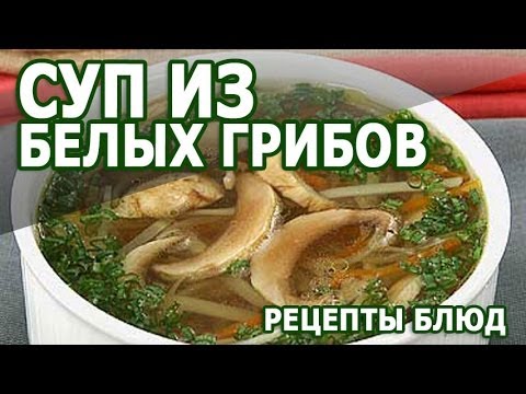 рецепт грибного супа из белых грибов видео рецепт грибного супа из белых грибов видео