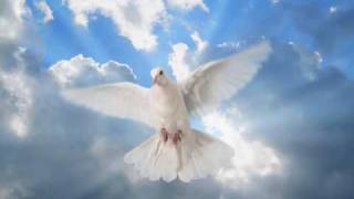 Watch Lynyrd Skynyrd White Dove video
