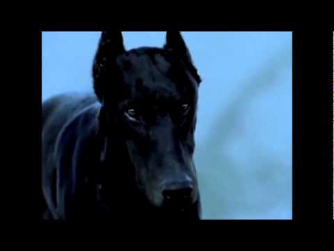 Madonna - Frozen (Extended Version) Video Klibi Madonna - Frozen (Extended Version) Video Klibi