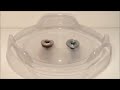 Beyblade Shogun Steel Ninja Salamander Sw145sd Vs Guardian Leviathan 160sb images Beyblade Shogun Steel Ninja Salamander Sw145sd Vs Guardian Leviathan 160sb