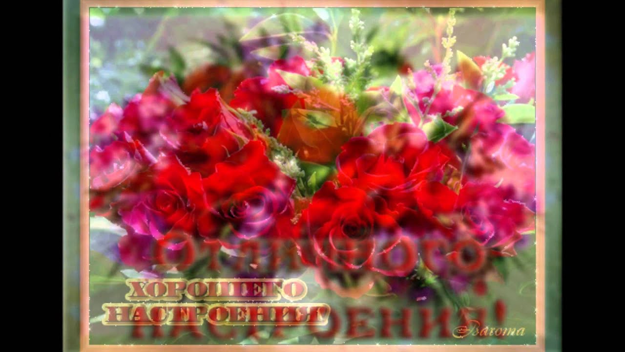 Sfoty поздравительные открытки Sfoty поздравительные открытки