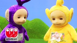 Teletubbies - Growing Flowers with The Teletubbies | Compilation | WildBrain Kids TV Shows