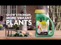 How to Use Miracle-Gro® Shake 'n Feed® Plant Food to Feed All Your Plants