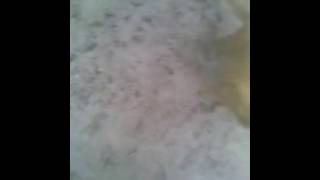 Vid20161025151339