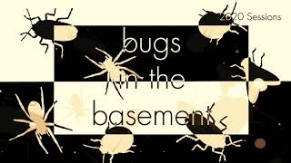 Bugs In The Basement - Epilachna Borealis aka The Squash Beetle