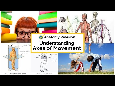 What is Axes of Movement?