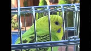 Making Of Love Exposure Ai No Mukidashi Part.2.Wmv