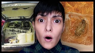 Hayatlarinin En Kötü Gününü Geçi̇ren İnsanlar Yok Artik The Aslı