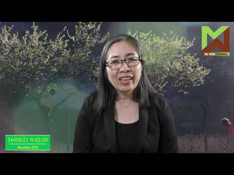 16.4.Nữ CEO Nguyễn Phương Hằng bị phạt 7,5 triệu vì đưa tin sai sự thật