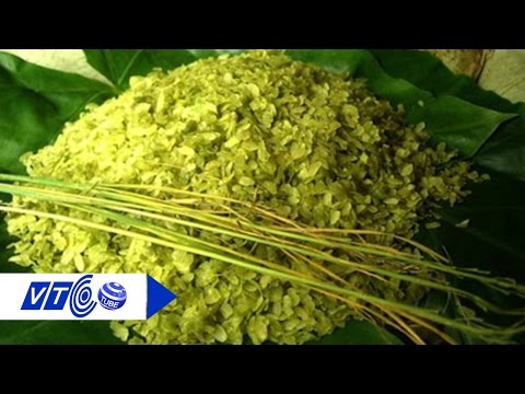 Thăm làng cốm xanh Mễ Trì | VTC