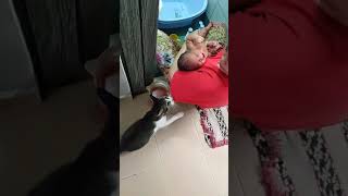 Jangan Dera Baby Tu
