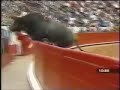 Pajarito (birdie): the flying bull