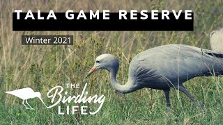 Tala Collection Game Reserve | The Birding Life