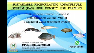 Low Budget Recirculatory Aquaculture System Ras Fish Farming.