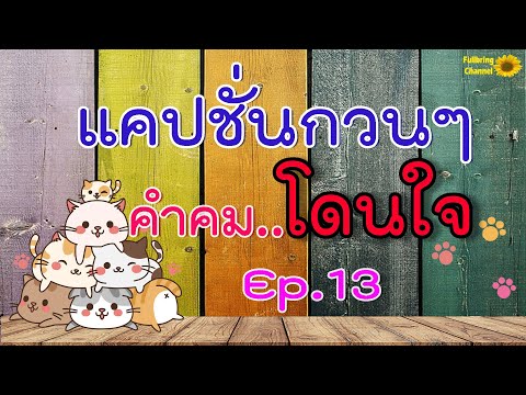 แคปชั่นกวนๆ คำคมโดนใจ Ep.13